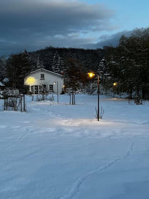 Landhaus „Blattgold“ Lohme Exteriér fotografie